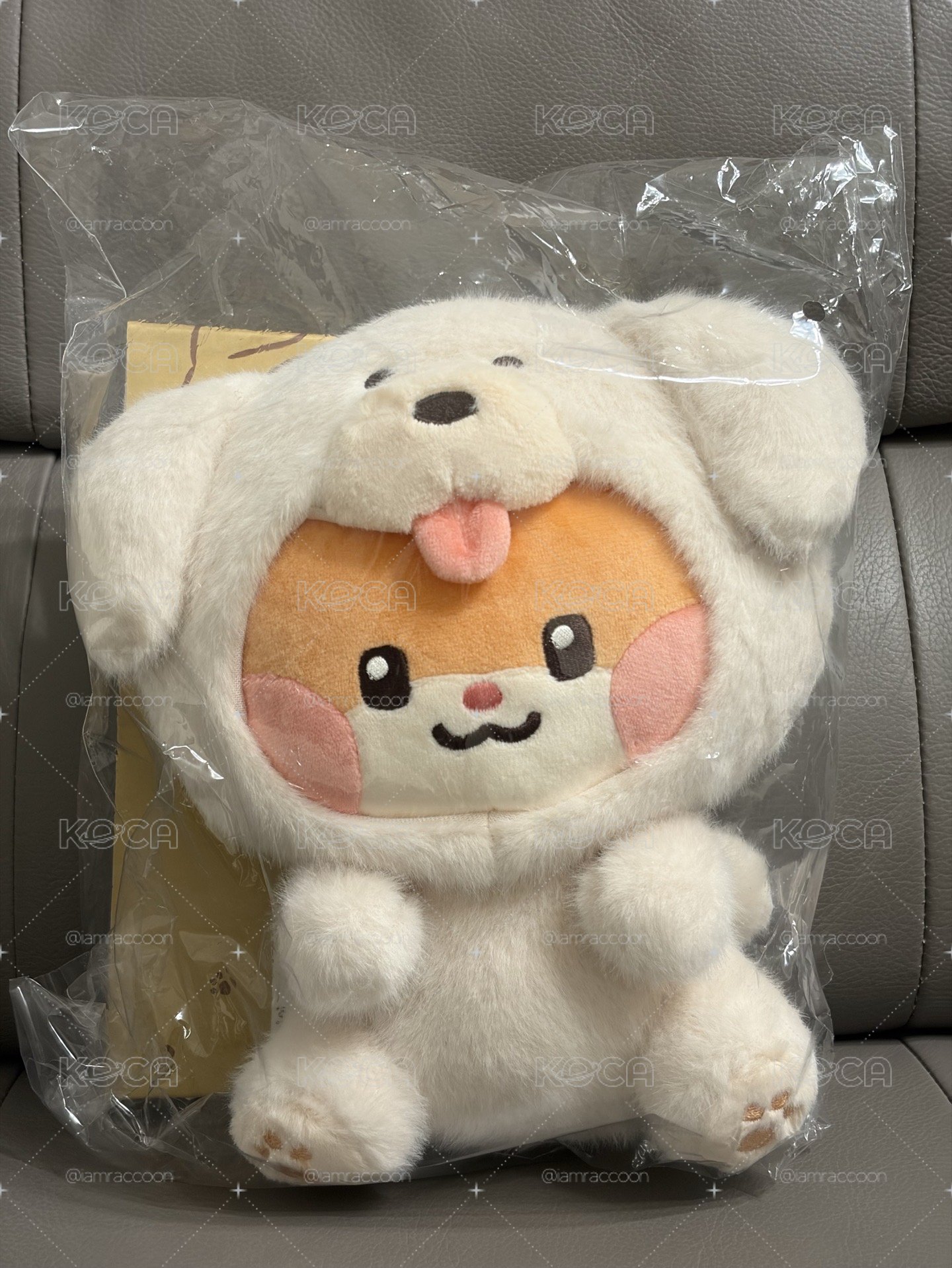彬尼尼大娃🐹🐶