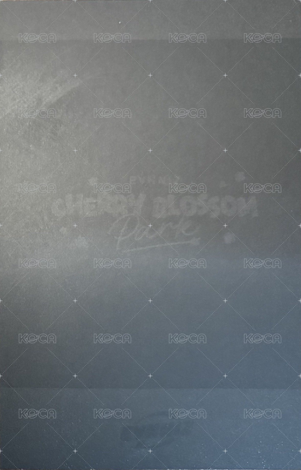 CHERRY BLOSSOM PARK 隨機卡  背面