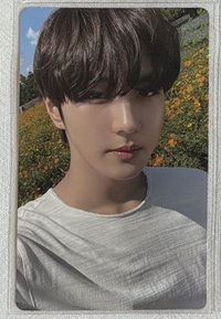 迷五 wvs電子專 專輯卡 