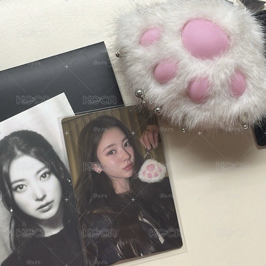 Anna貓爪專小卡+大卡
