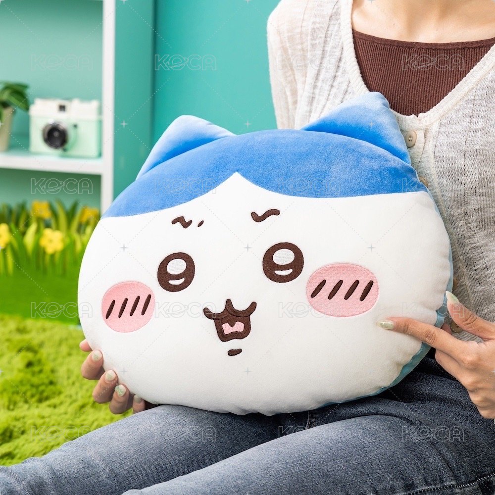 B賞 小八「難道說…！？」抱枕