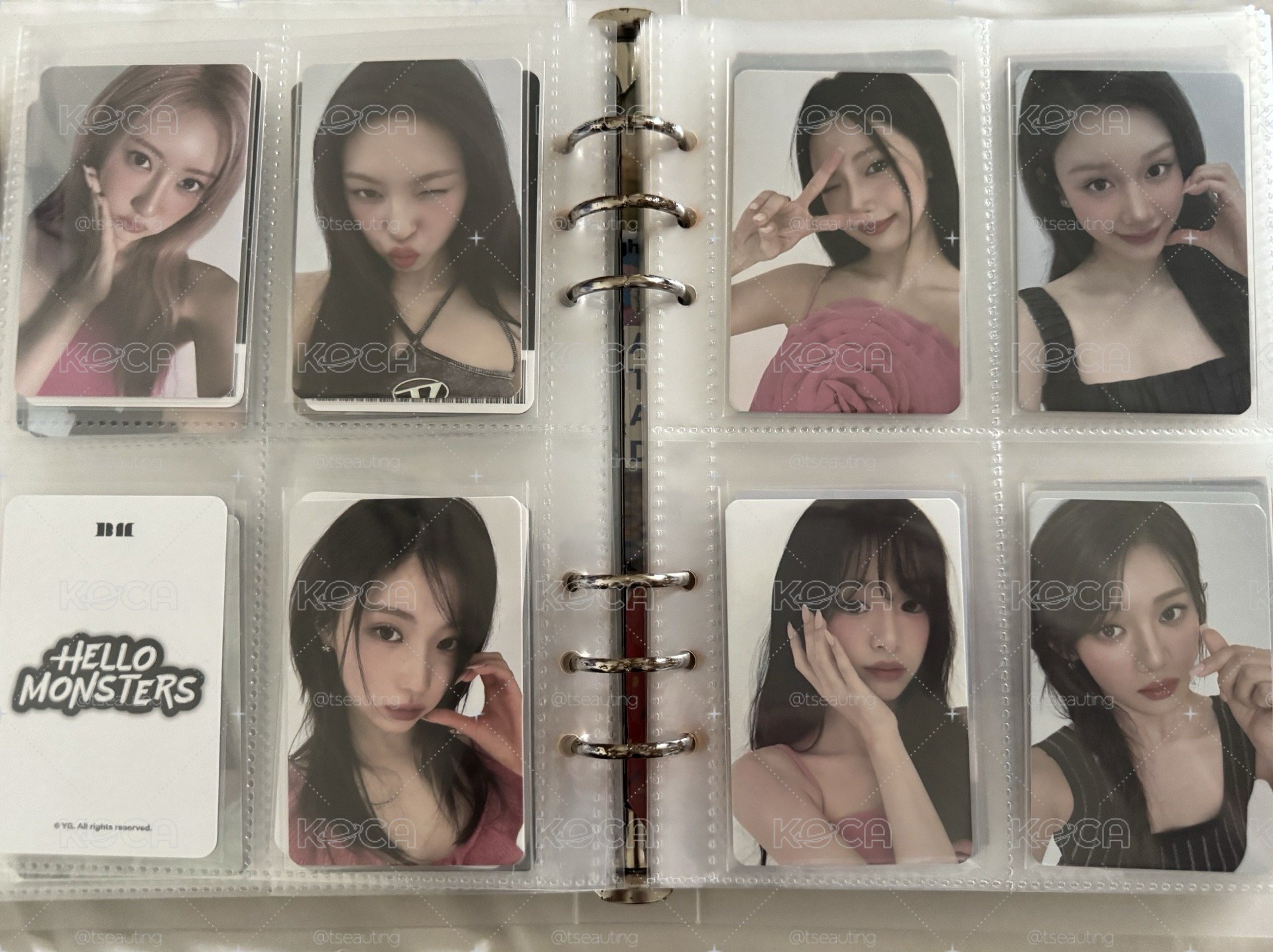 BANILA CO 1.0代言卡