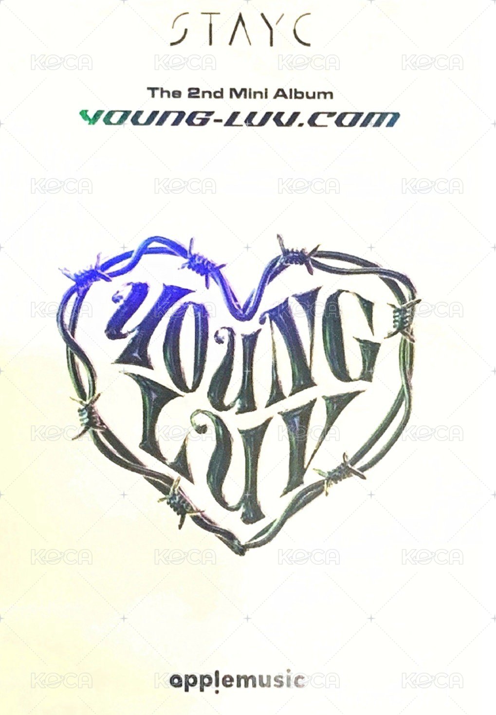 RUN2U am 3.0 特典卡  背面