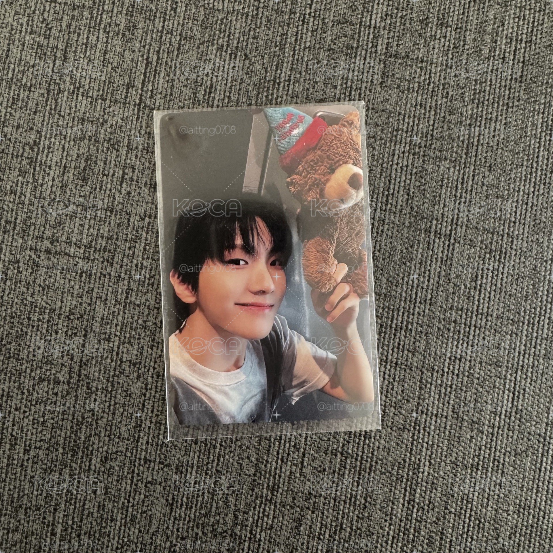 一直娛 舉熊 金雲鶴