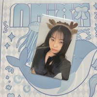 小鹿圭