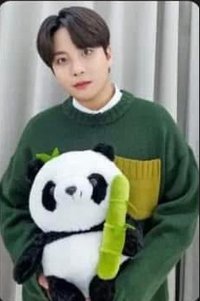 Will   bilibili收藏卡 熊貓 幸運卡 