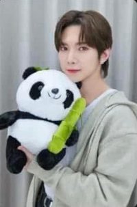 Will   bilibili收藏卡 熊貓 幸運卡 