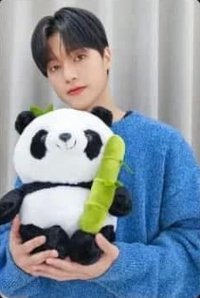 Will    bilibili收藏卡 熊貓 幸運卡 