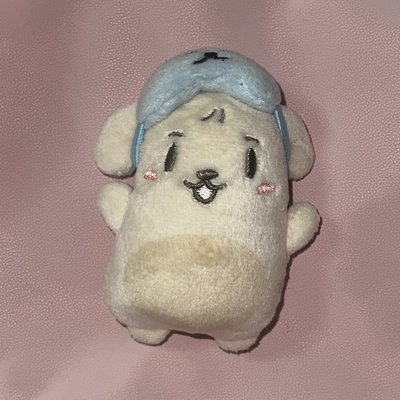 丁潤浩 小狗條 24年生日MD+綁