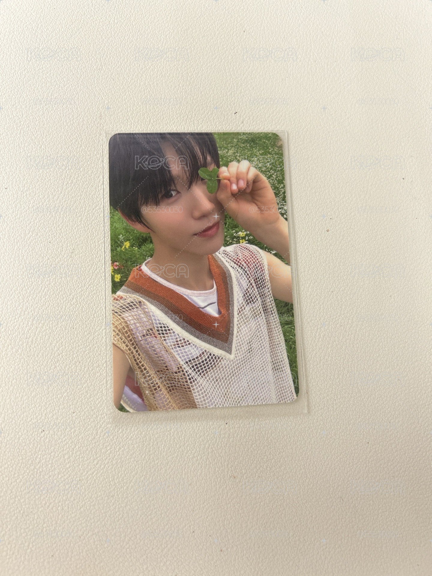 nct wish 栽禧區