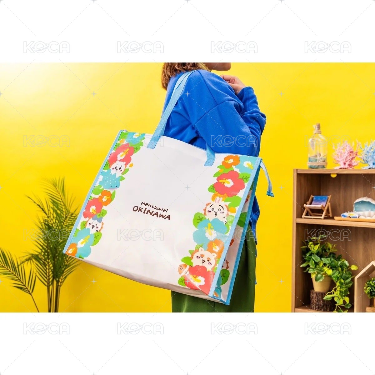 獅薩與三小隻 扶桑花紀念品包