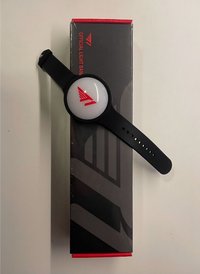 2024主場日   應援手燈 2024 主場日手環燈