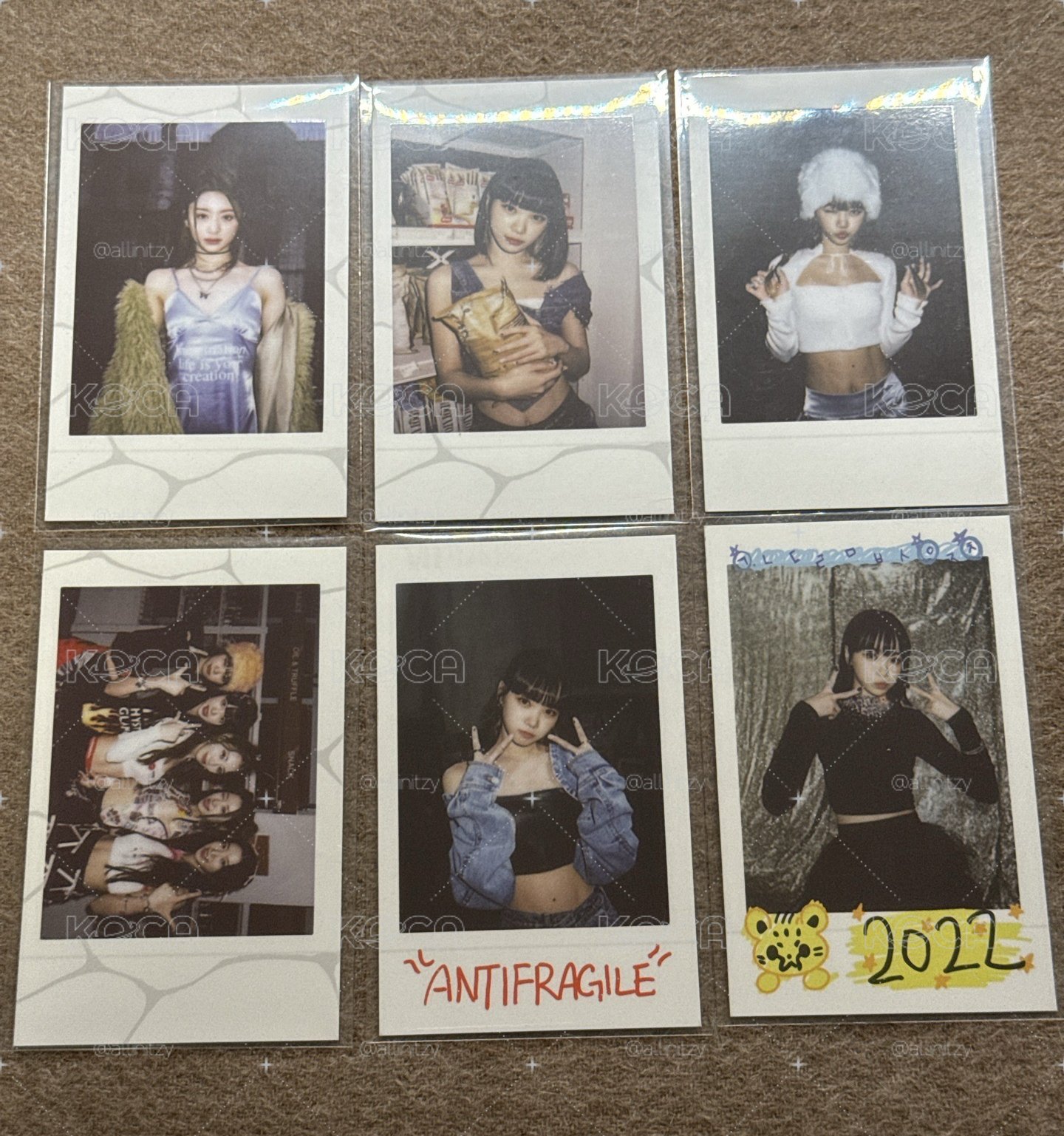 antifragile 拍立得組 采 允