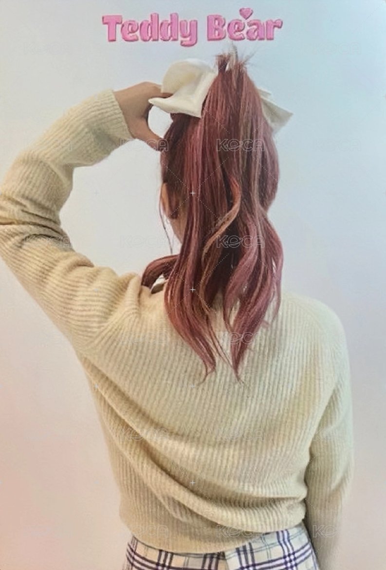 泰迪熊 日版 SC 隨機 入場卡 / 場限卡  背面