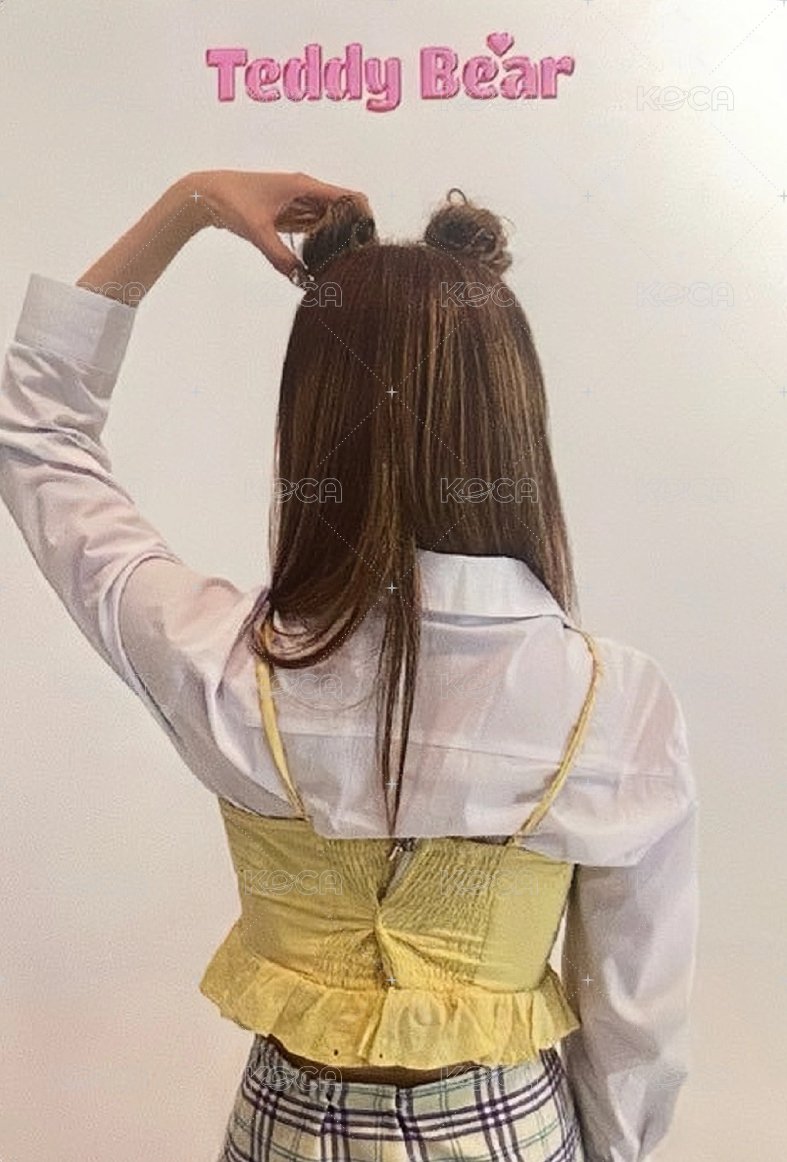 泰迪熊 日版 SC 隨機 入場卡 / 場限卡  背面