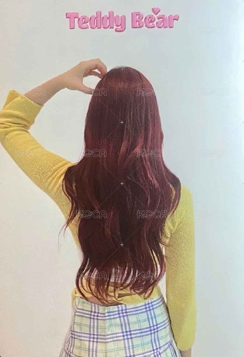 泰迪熊 日版 SC 隨機 入場卡 / 場限卡  背面