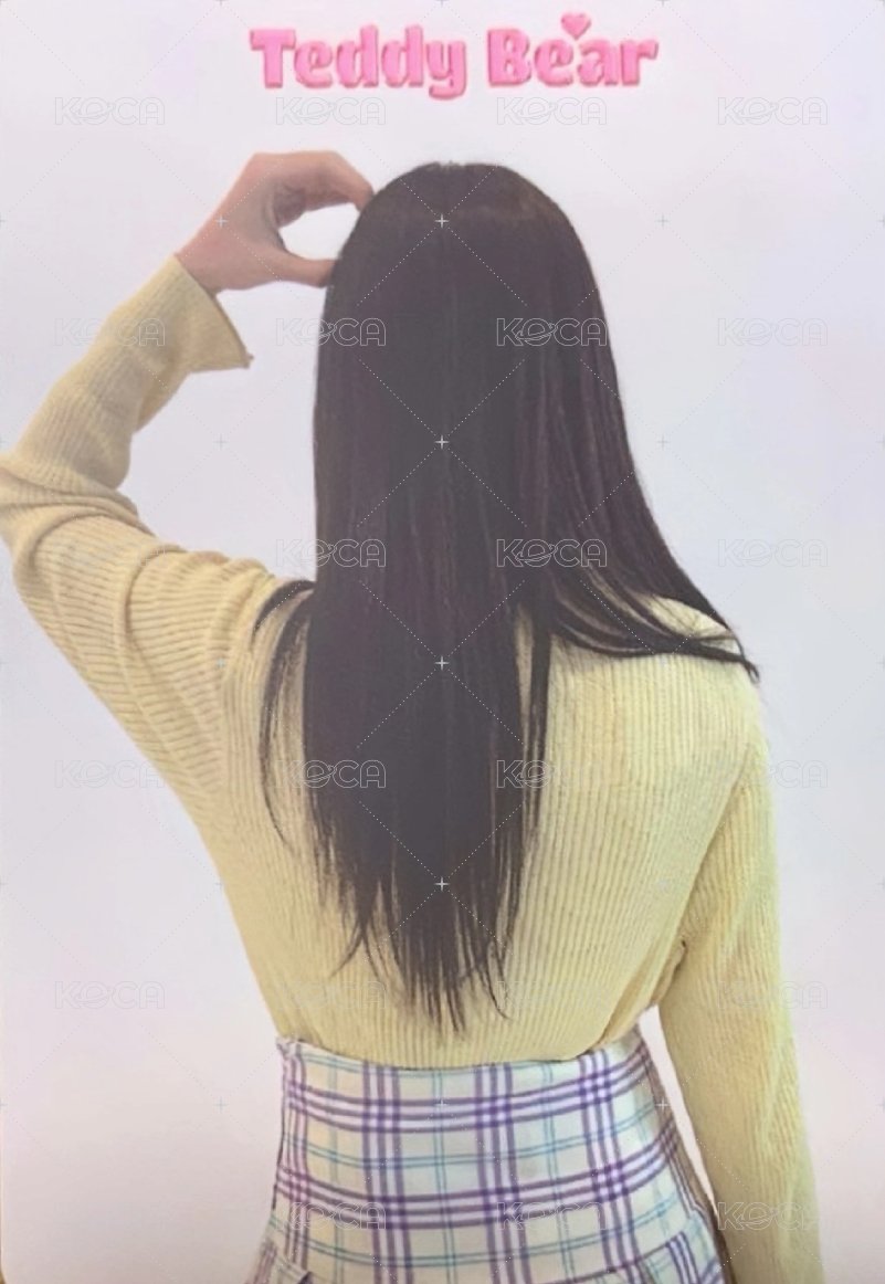 泰迪熊 日版 SC 隨機 入場卡 / 場限卡  背面