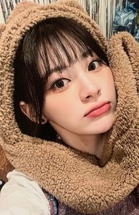 泰迪熊 wm 2.0 簽售卡 