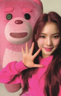 Teddy Bear wm 快閃 卡套a 周邊卡 