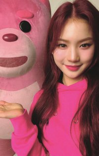 Teddy Bear wm 快閃 卡套b 周邊卡 