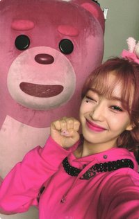 泰迪熊 wm 快閃 包卡 周邊卡 