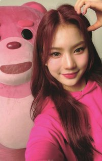 Teddy Bear wm 快閃 包卡 周邊卡 
