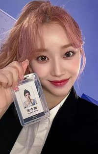 泰迪熊 wonderwall 簽售卡 