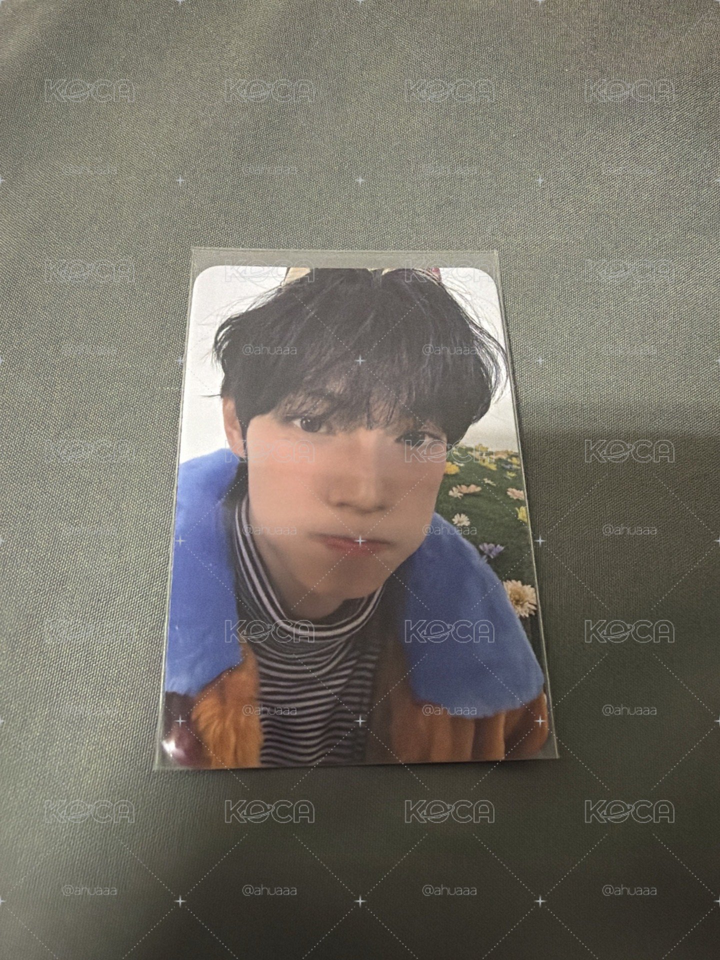 崔立于 whos fan 