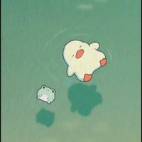 王皮皮