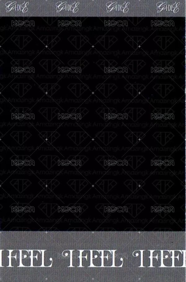 I feel 專輯卡 蝴蝶版拍立得 背面