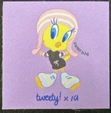 2024 世巡演唱會_藍光+DVD