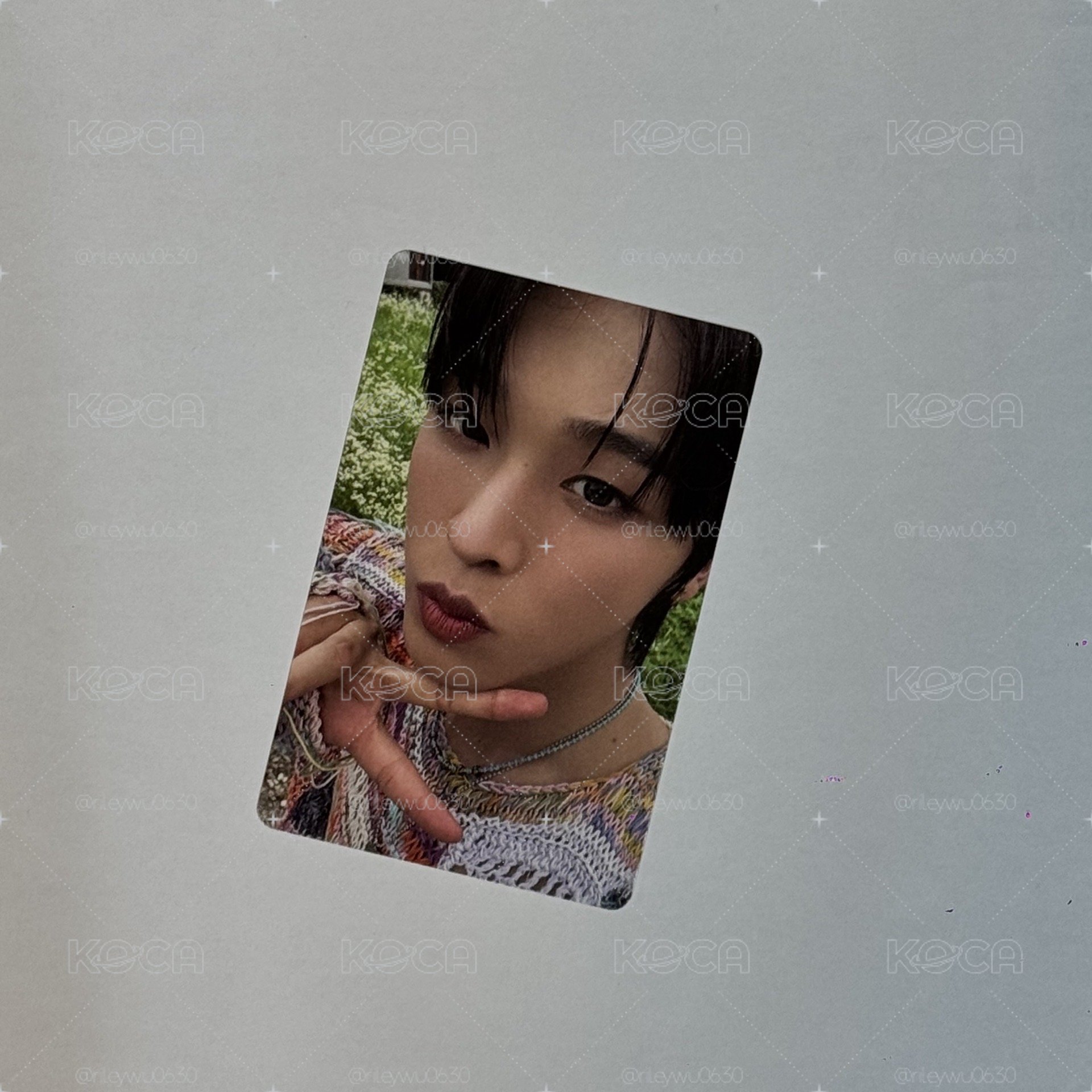NCT WISH小卡 賣場2-Riku🐈‍⬛