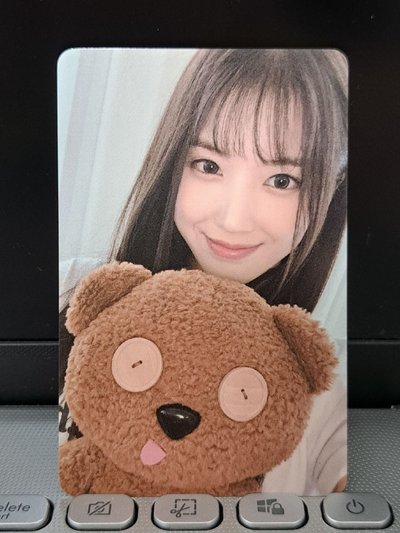 仲夏夜 wm 抱熊友