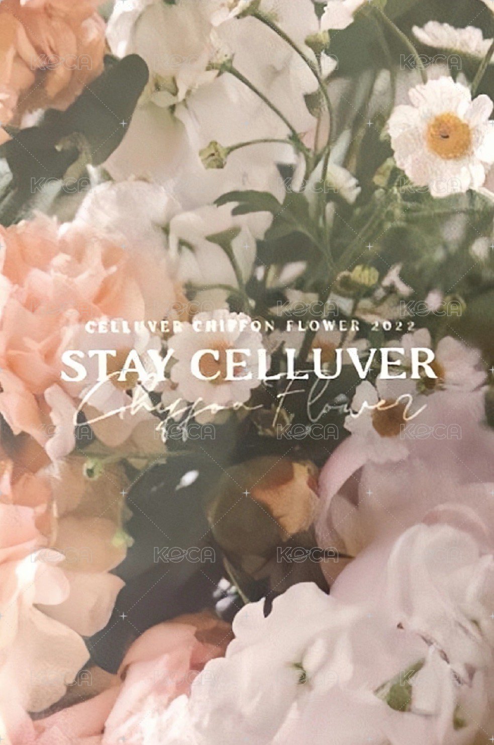 Celluver 香水卡 代言卡  背面