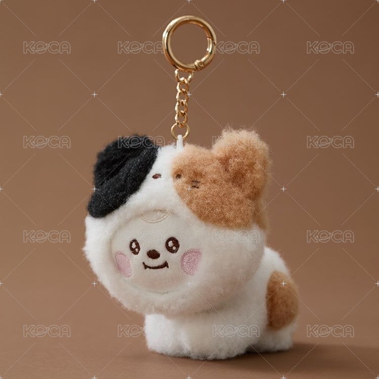 Cat CHIMMY