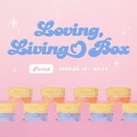 桌上收納 LOVING LIVING BOX收納盒
