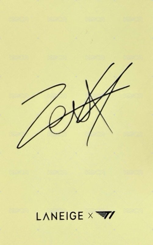 蘭芝 代言卡  背面