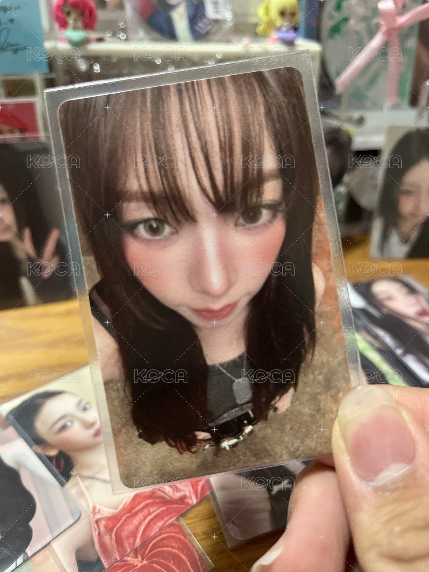 懟臉柚（中背）