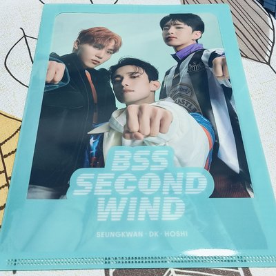 BSS Fighting 一整套全專