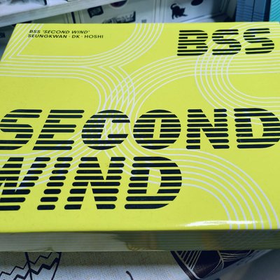 BSS Fighting 一整套全專