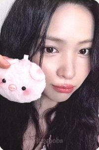 TNVS ms 深圳 簽售卡 特別活動 小豬豬