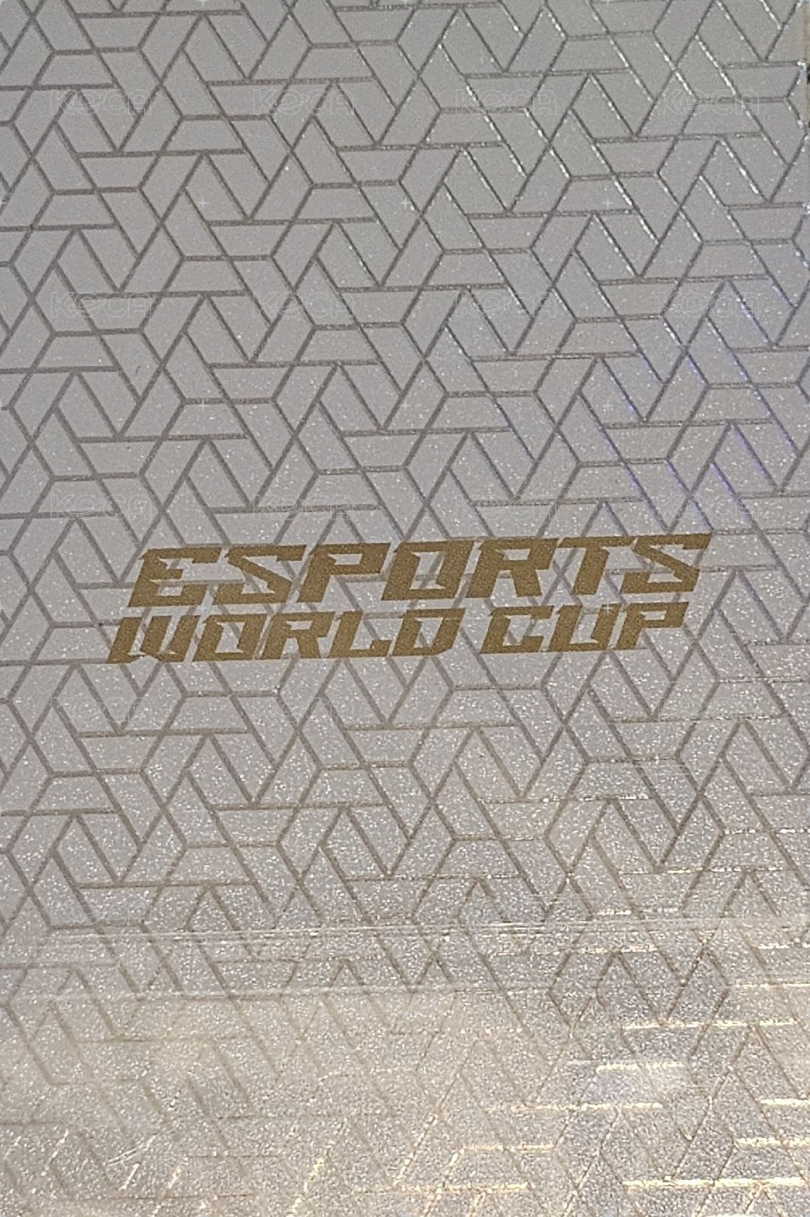 石油盃 入場卡 / 場限卡 EWC小卡 背面