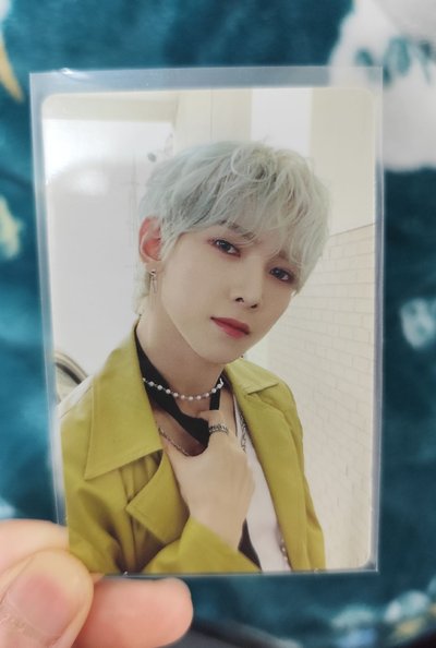 一點小卡🐻🐩🐰