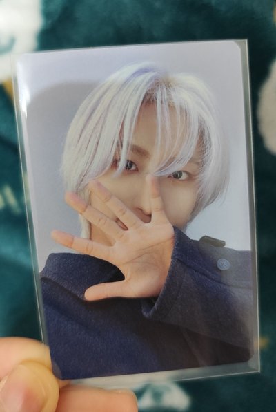 一點小卡🐻🐩🐰