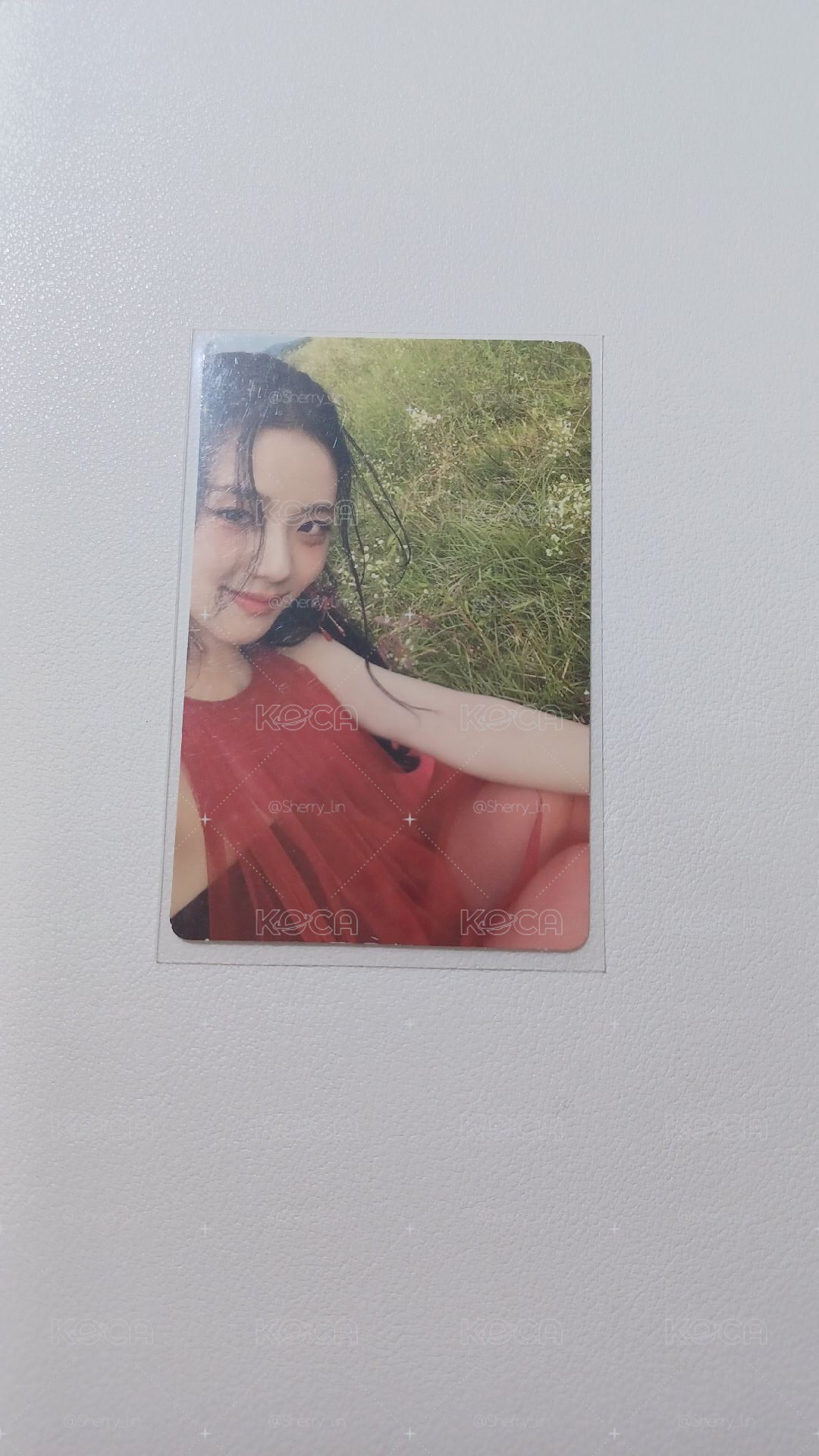 ME 專輯卡 紅版草地秀