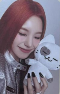 二巡 周邊卡 絨毛卡套卡