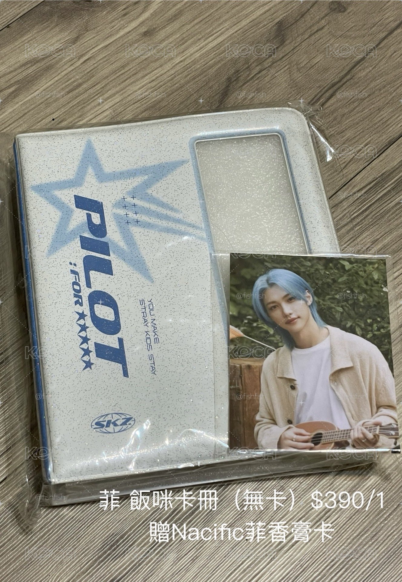 Stray Kids SKZ 菲飯咪卡冊 Felix周邊