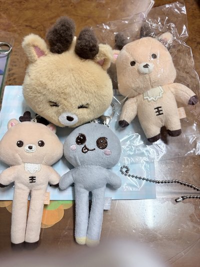 RIIZE 情人節原皮 長腿 上海快閃盲盒