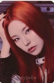 二巡 周邊卡 票卡組卡