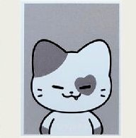 二巡 周邊卡 證件照組 TWINZY證件照